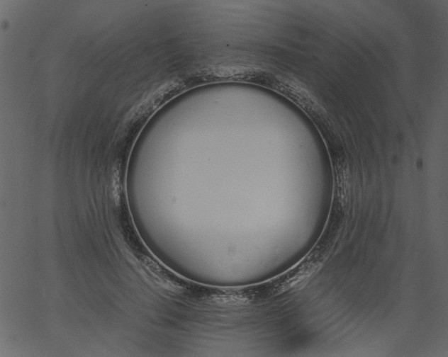 X0000062670644200601111245