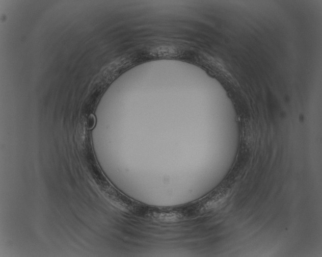 X0000062670645200601111245