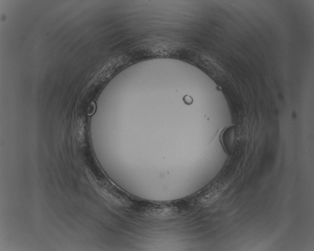 X0000062670646200601111245