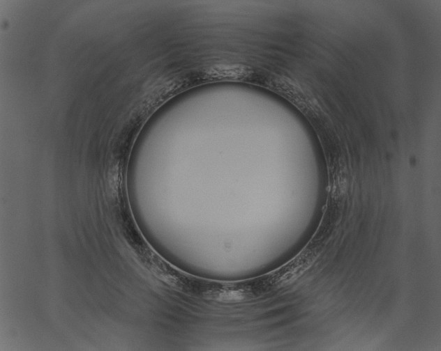 X0000062670647200601111245