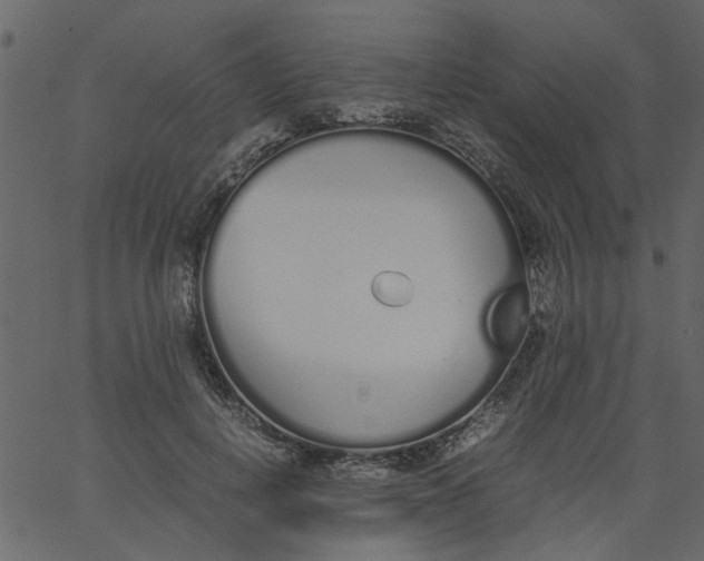 X0000062670648200601111245