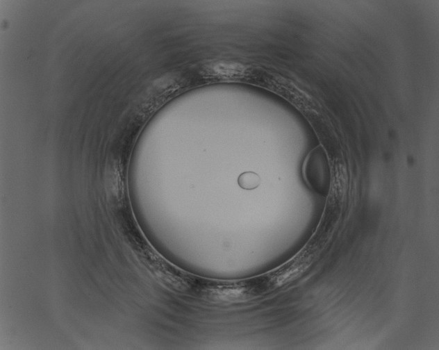 X0000062670651200601111245