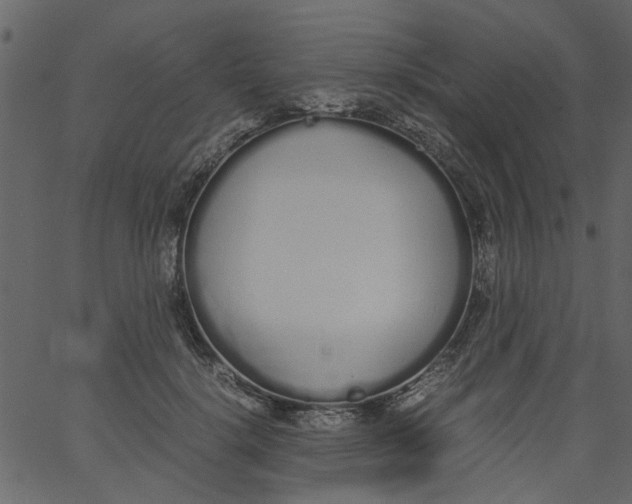 X0000062670652200601111245