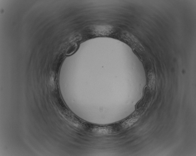 X0000062670655200601111245