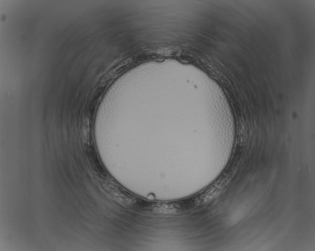 X0000062670656200601111245