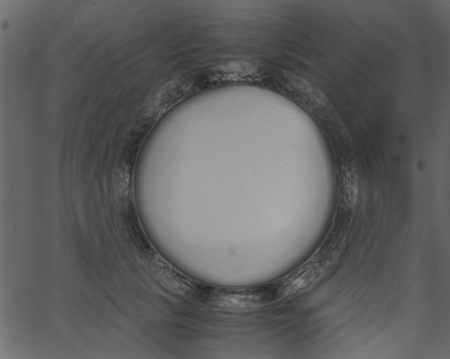 X0000062670657200601111245