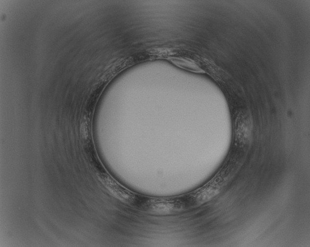 X0000062670658200601111245