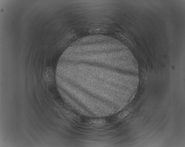 X0000062670659200601111245