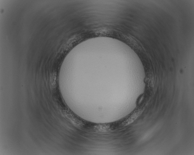 X0000062670660200601111245