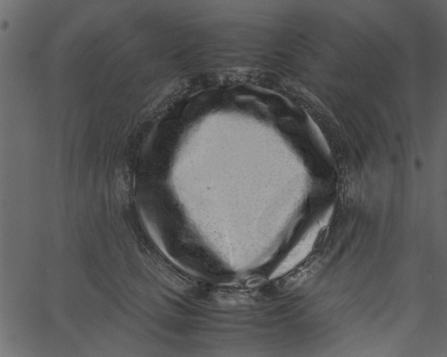 X0000062670661200601111245