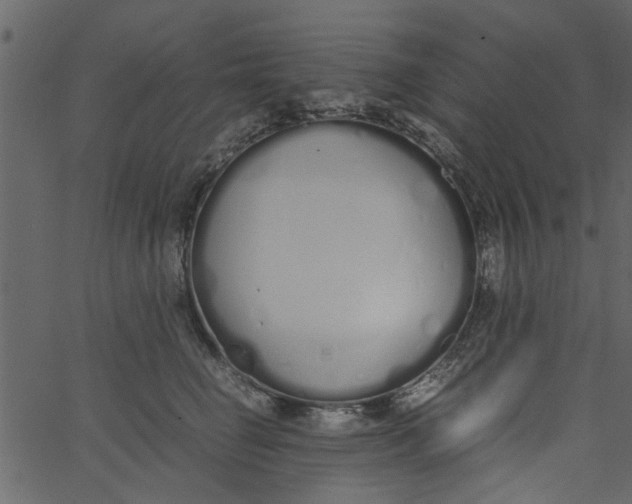 X0000062670662200601111245