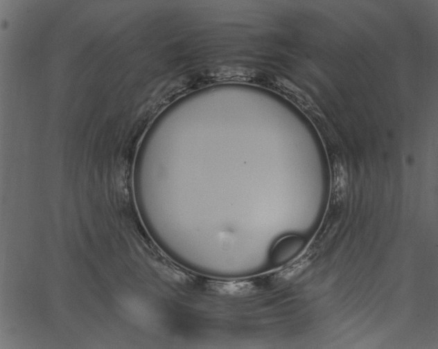 X0000062670663200601111245