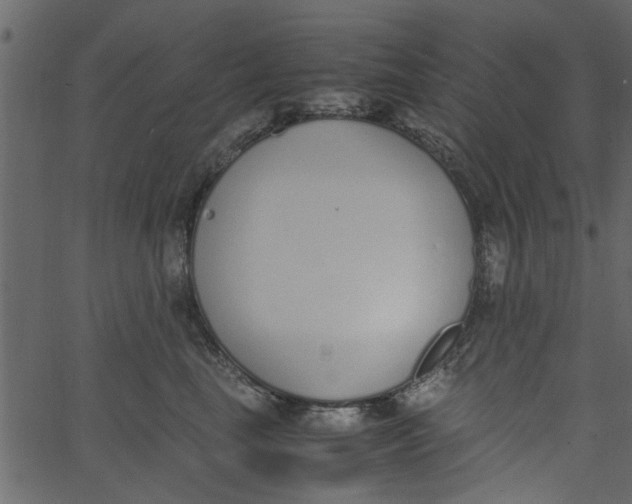 X0000062670665200601111245