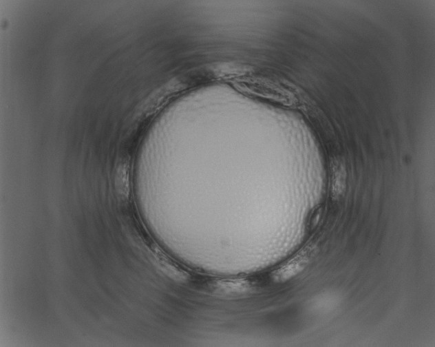 X0000062670666200601111245