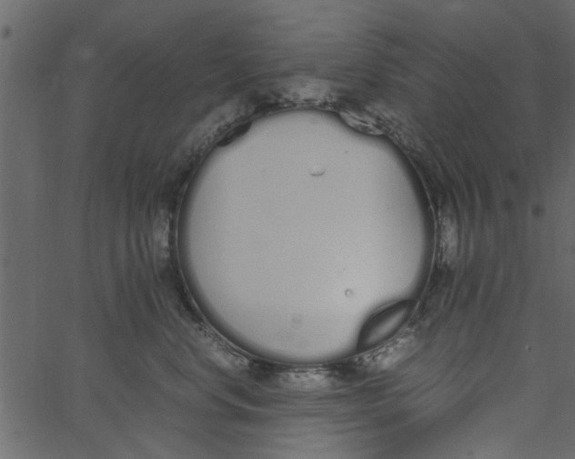 X0000062670668200601111245