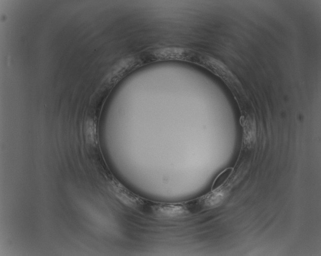 X0000062670669200601111245