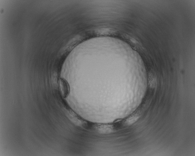 X0000062670670200601111245