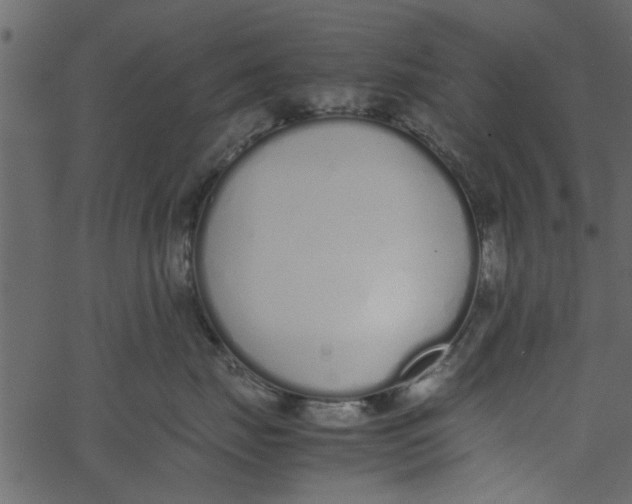 X0000062670671200601111245