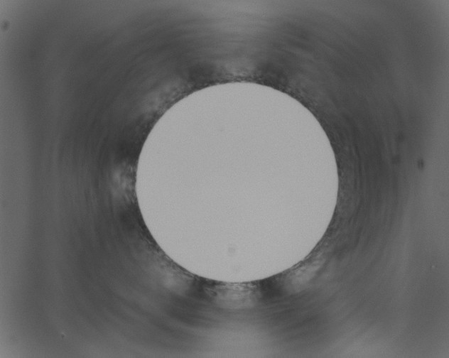 X0000062670672200601111245