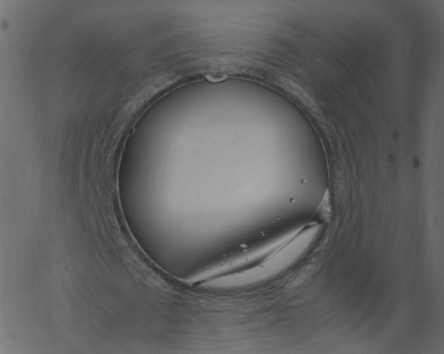 X0000062670673200601111245