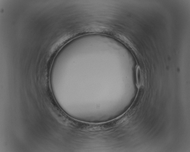 X0000062670675200601111245