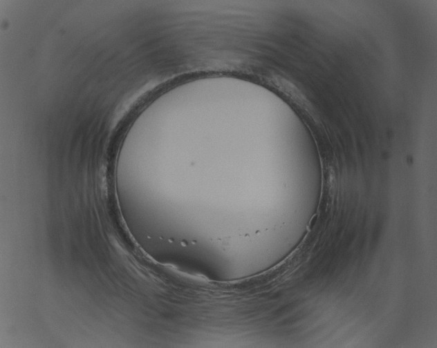 X0000062670676200601111245