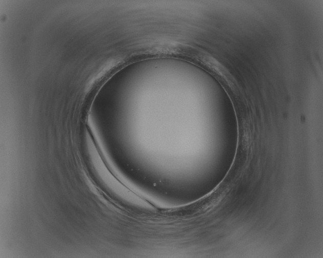 X0000062670677200601111245