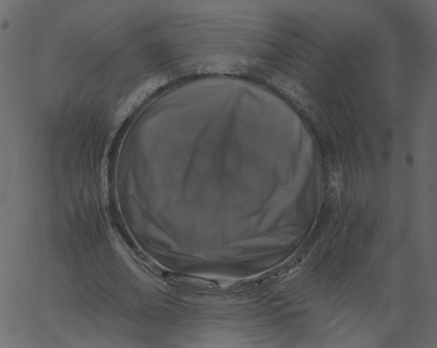 X0000062670678200601111245