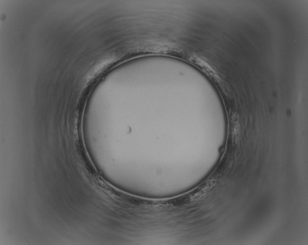 X0000062670679200601111245