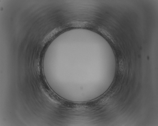 X0000062670682200601111244