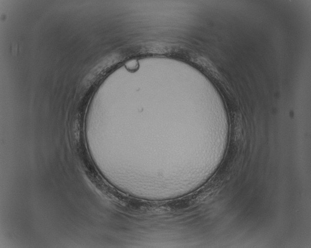 X0000062670683200601111244