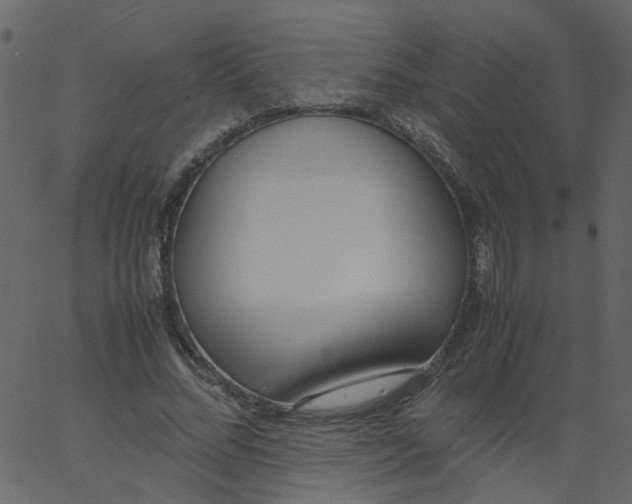 X0000062670684200601111244