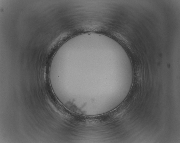 X0000062670686200601111244