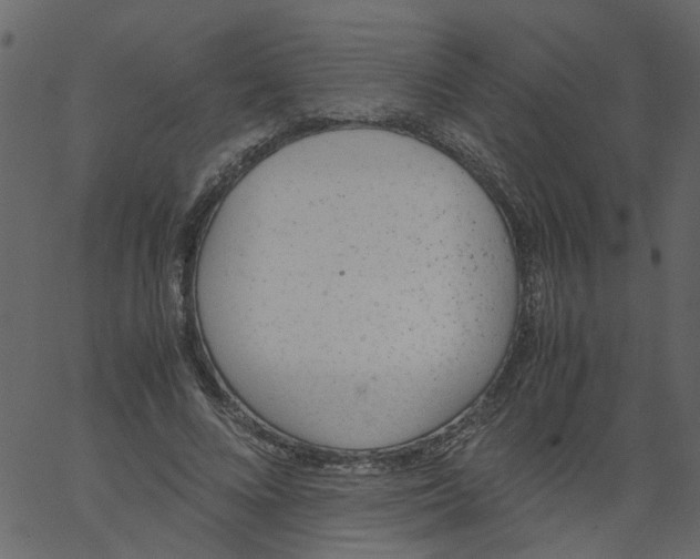 X0000062670688200601111244