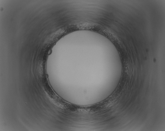 X0000062670690200601111244