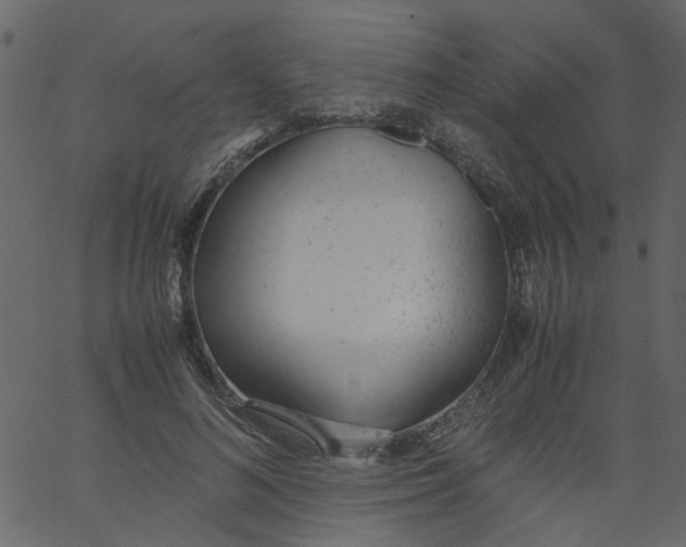 X0000062670692200601111244