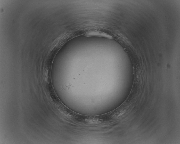 X0000062670693200601111244