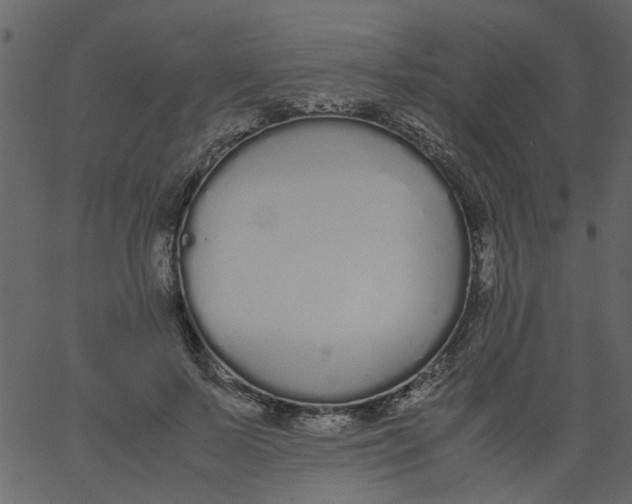 X0000062670695200601111244