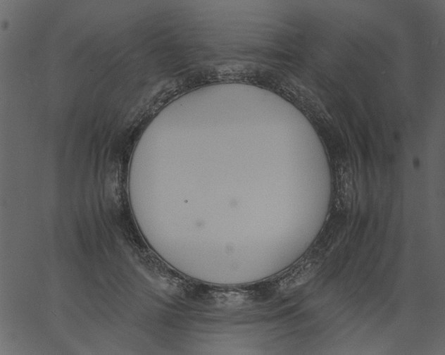 X0000062670698200601111244