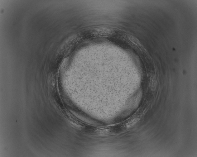 X0000062670701200601111244