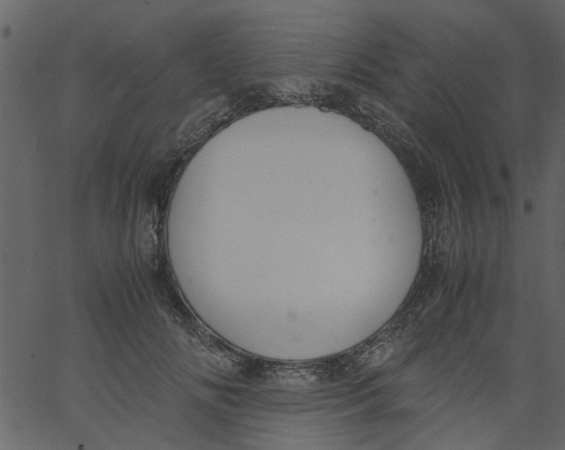 X0000062670702200601111244