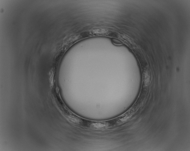 X0000062670703200601111244