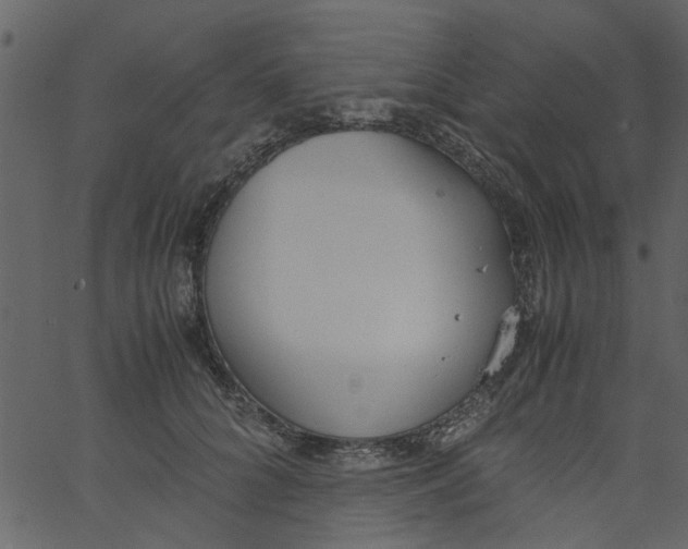 X0000062670704200601111244