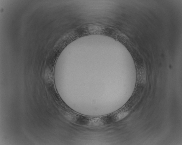 X0000062670705200601111244