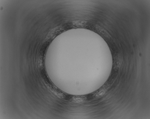 X0000062670706200601111244