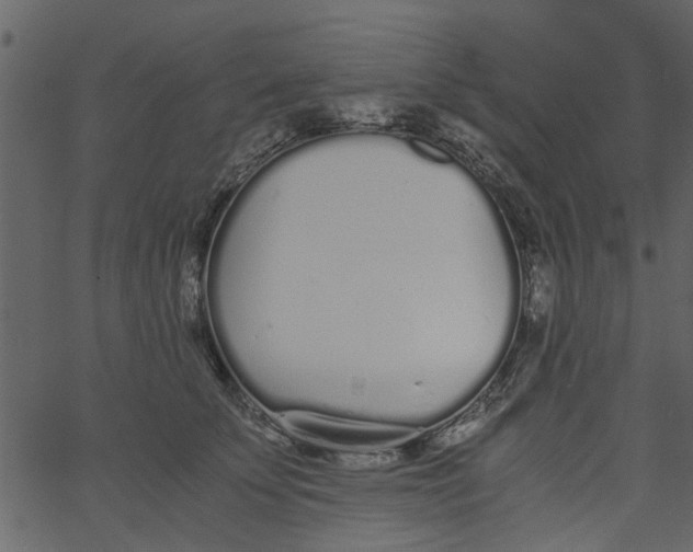 X0000062670707200601111244