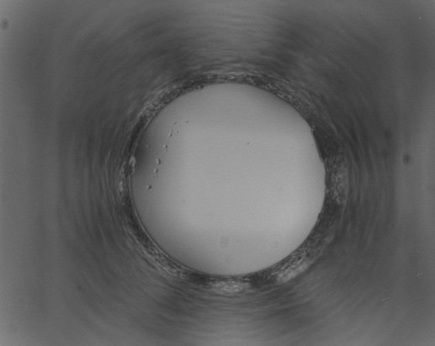 X0000062670708200601111244