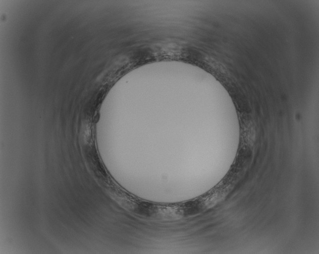 X0000062670709200601111244