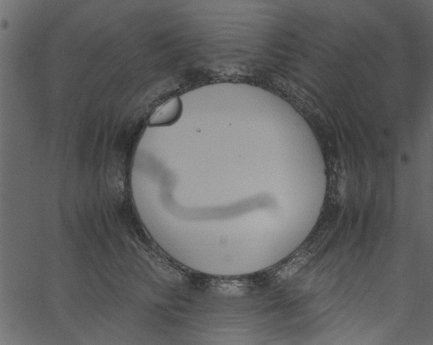 X0000062670710200601111244