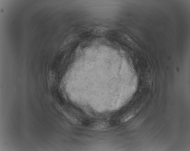 X0000062670711200601111244